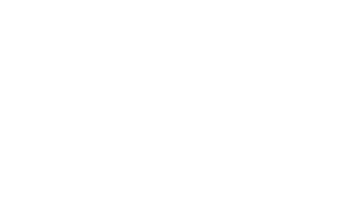 Vanish the Void